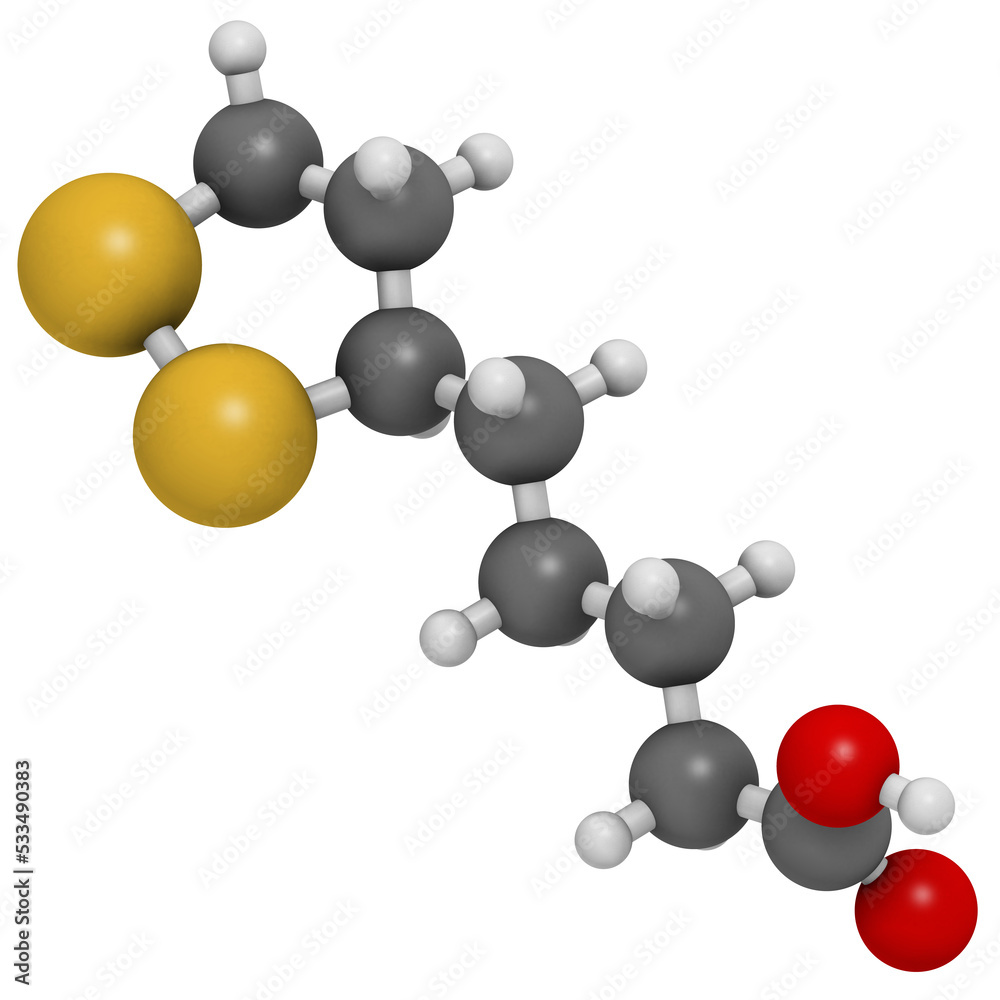 Lipoic acid enzyme cofactor molecule. Present in many nutritional supplements. Believed to have anti-oxidant, anti-aging and weight-loss effects. Lipoic acid enzyme cofactor molecule. Present in many nutritional supplements. Believed to have anti-oxidant, anti-aging and weight-loss effects.