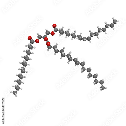Trans-fat containing triglyceride (elaidyl stearyl oleyl triglyceride), molecular model photo