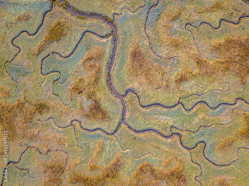 Εκτύπωση καμβά Aerial view of tidal marshland
