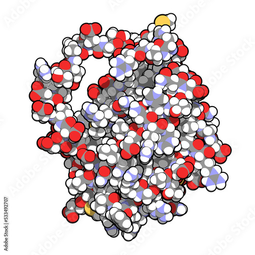 BCL-2 protein. Prevents apoptosis (cell death) and often found overexpressed in cancer cells. The corresponding BCL2 gene is a proto-oncogene. photo