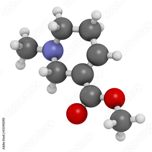 Arecoline areca nut stimulant compound, chemical structure. photo