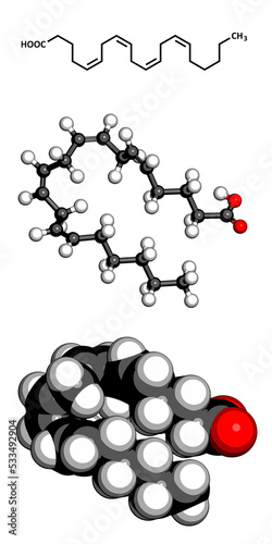 Arachidonic acid molecule. Polyunsaturated omega-6 fatty acid that is a precursor of prostaglandins, prostacyclin, thromboxanes, leukotrienes and anandamide. photo