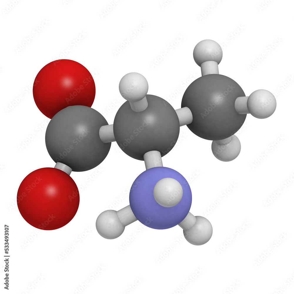 Alanine (Ala, A) amino acid, molecular model. Alanine (Ala, A) amino acid, molecular model.