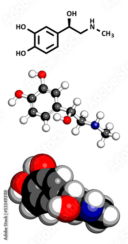 Adrenaline (epinephrine) hormone and neurotransmitter, molecular model. photo