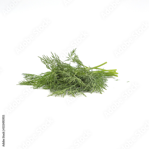 Dill on white background