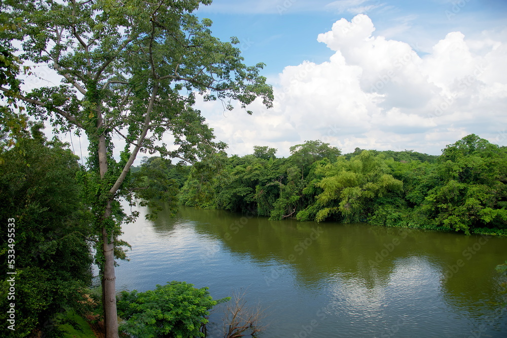 River and forest : Nam Phong River, Khon Kaen, Thailand