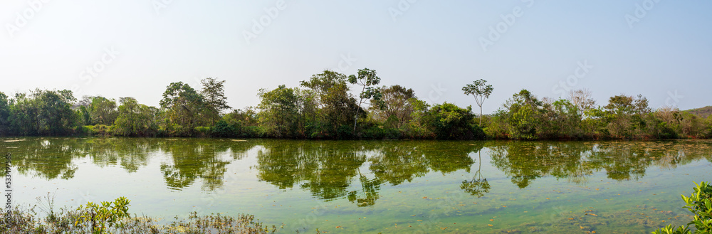  Pantanal view and the reflection of the trees in the waters in the city in Campo Grande City in Mato Grosso do Sul Brazil