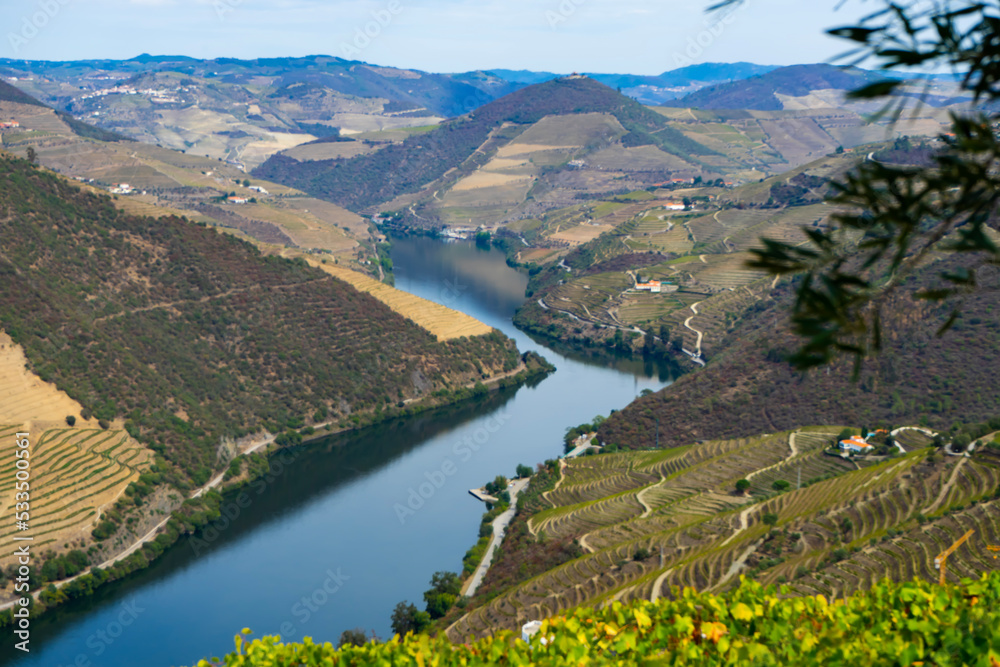 Viewpoint view of terraced vineyards at romantic  in Douro valley near Pinhao village, heritage of humanity