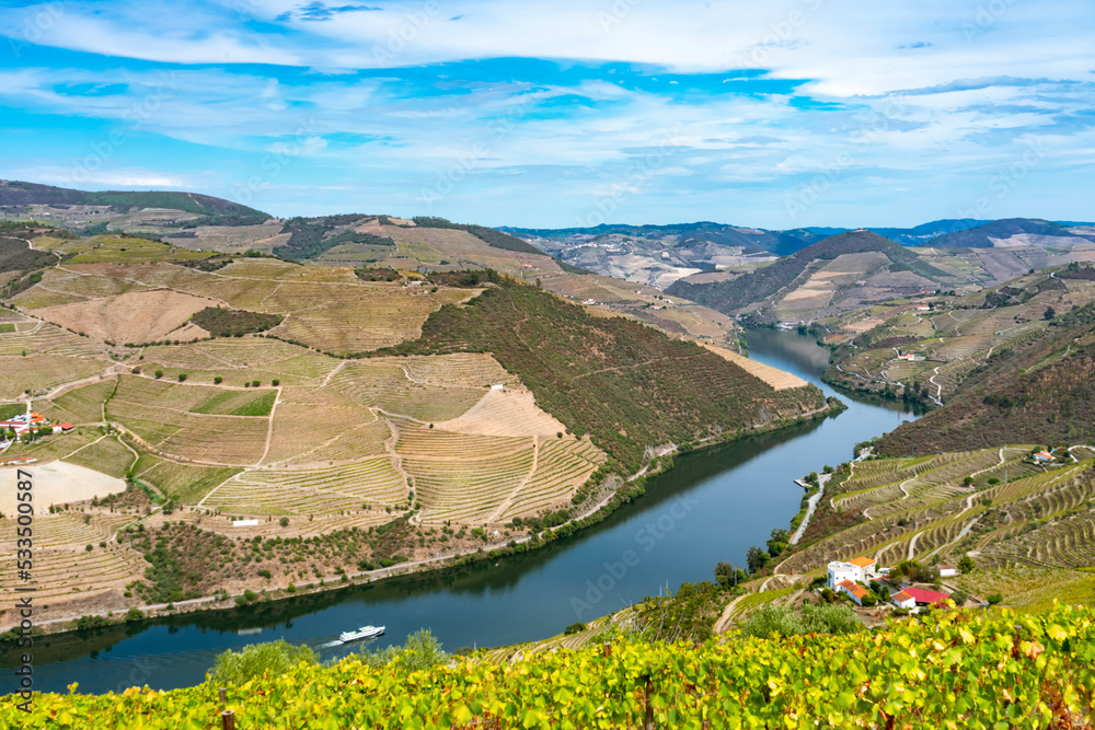 Obraz premium Viewpoint view of terraced vineyards at romantic sunset in Douro valley near Pinhao village, heritage of humanity