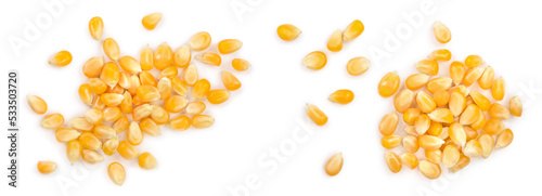 The corn seeds isolated on white background. Top view. Flat lay