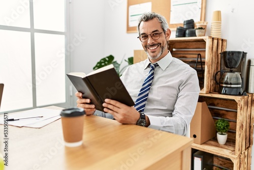 Middle age grey-haired man business worker reading book at office