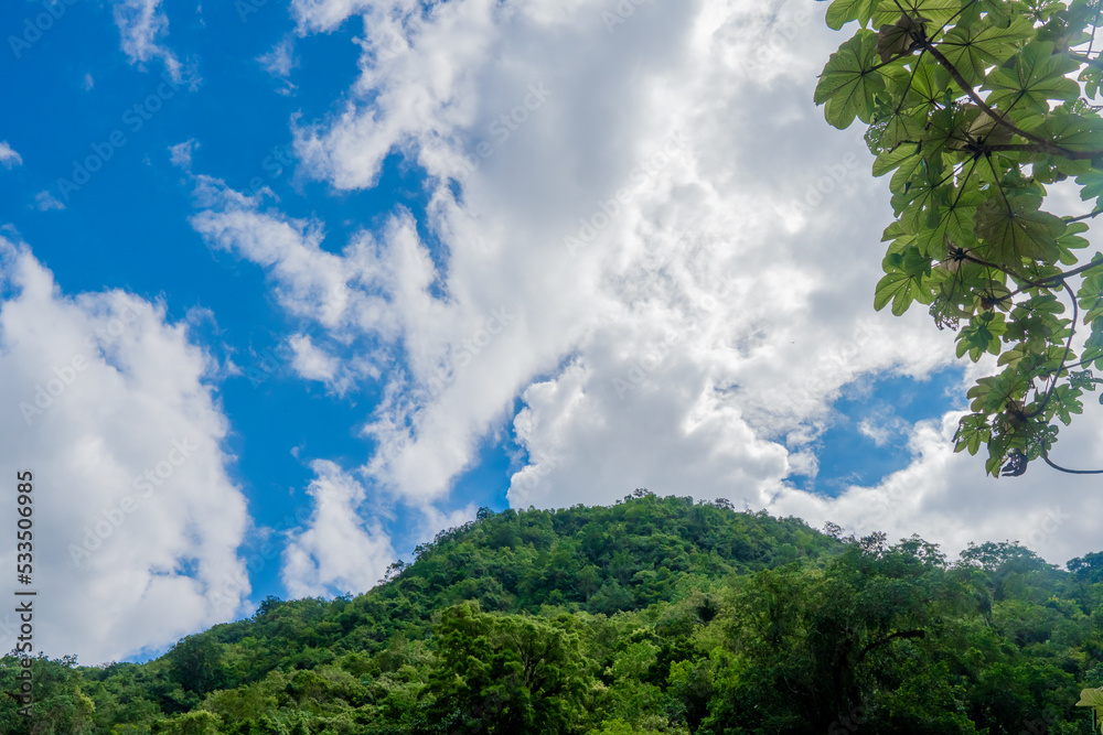 clouds and trees