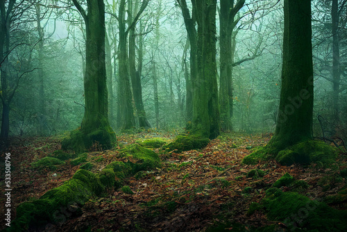 Wald mit Moos im Herbst © Sebastiart