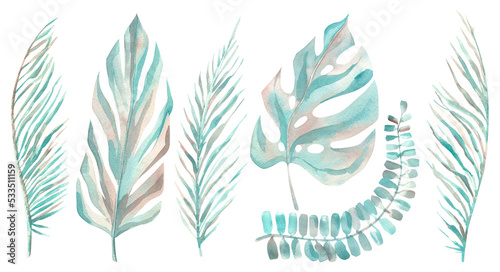Tropical leaves and branches of palm trees, monstera. Watercolor illustration in sketch style, in gray-turquoise color. Delicate, simple, isolated objects from a large set of COCONUT.