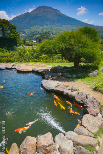 Beautiful landscape view with koi ponds and Sumbing mountain on background. Beautiful park of sigandul view Temanggung Indonesia.  photo