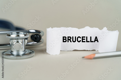 On a gray background, a stethoscope, a pencil and a paper plate with the inscription - Brucella photo