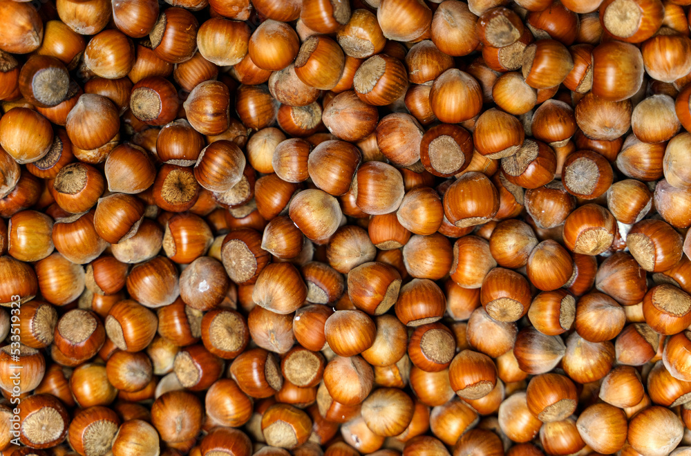 Solid background of hazelnuts. Top view, close-up. Solid background of hazelnuts. Top view, close-up.