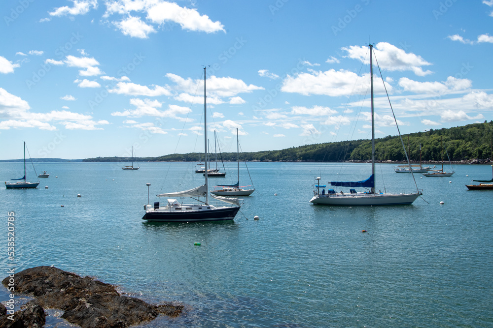 boats in the harbor