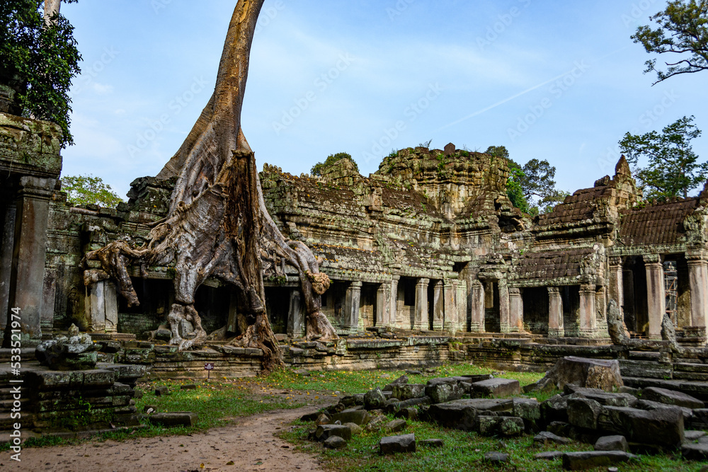 Cambodia. Siem Reap. The archaeological park of Angkor. Tree root of banyan tree overgrowing parts of ancient Preah Khan 12th century Hindu temple