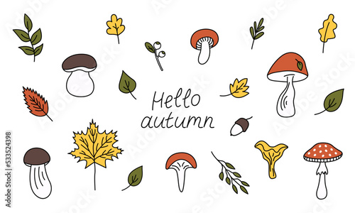 Autumn aesthetics forest set elements. Collection of different mushrooms and leaves. Hello autumn. Cute outline hand drawn doodle illustration.