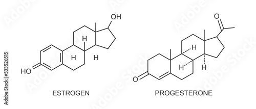 Estrogen and progesterone icons. Female reproductive sex hormones chemical molecular structure. Steroids of menstrual cycle, puberty, ovary and pregnancy. Vector outline illustration photo