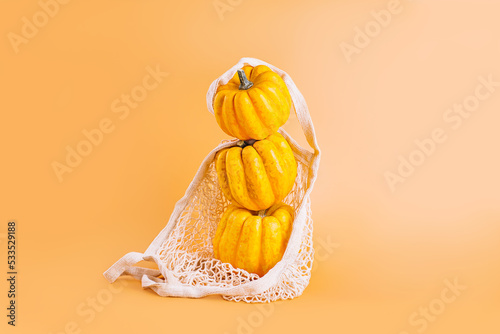 Autumn Halloween Pumpkins.Different varieties of Pumpkins in mesh bag of fabric on orange background.Autumn concept.Copy space.Composition of pumpkins.Happy Thanksgiving.Vegetable fall food concept.