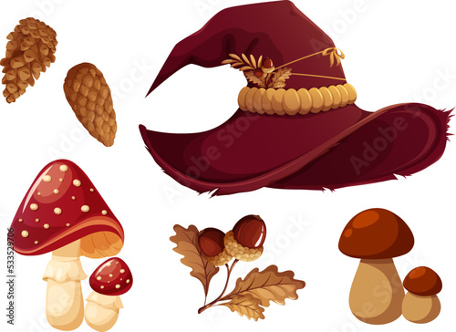 Set of witch, wizard. Hat, mushrooms, acorns and cones