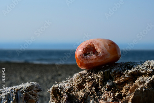 A close up image of a bright red carnelian geode resting on driftwood with the Pacific Ocean in the background. 