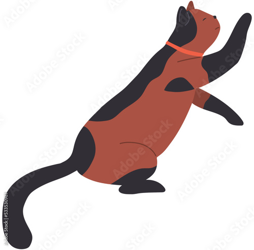 Cute cartoon kitty with ginger fur sitting side view. Cat shorthair home kitten, domestic animal with mustache and tail. Fluffy pet friend, human companion with collar. Caring for animals concept