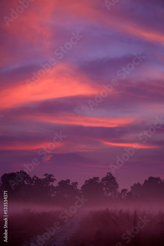 A foggy dawn at Jim Corbett National Park grasslands with brilliantly colourful skies photo