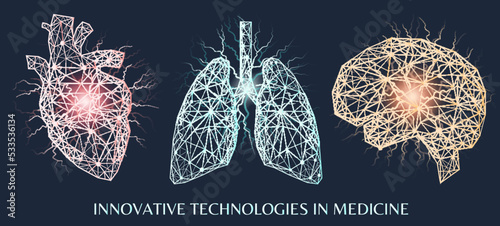 Set of polygonal human organs made of red lines and dots. Medical research of human body, innovative approach concept. Anatomy, diagnostics of body systems. Brain, lung, heart