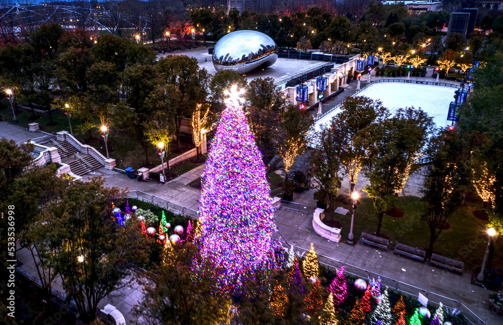 Obraz premium Chicago Christmas Tree