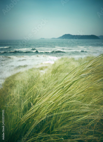 grass and sea