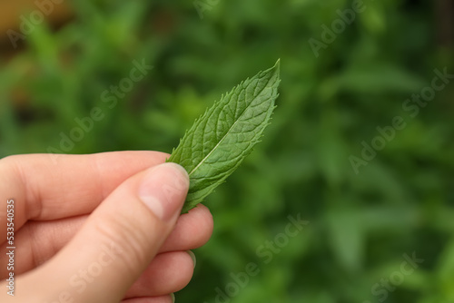 Woman holding fresh green mint outdoors, closeup