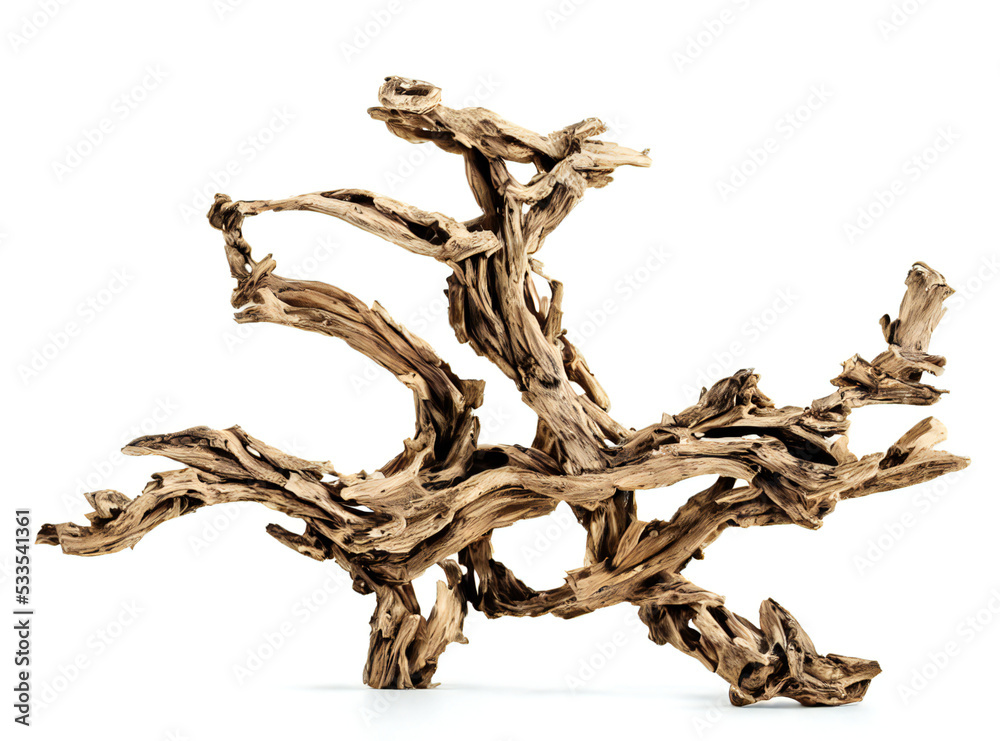 driftwood, dry and aged branch isolated on white background driftwood, dry and aged branch isolated on white background