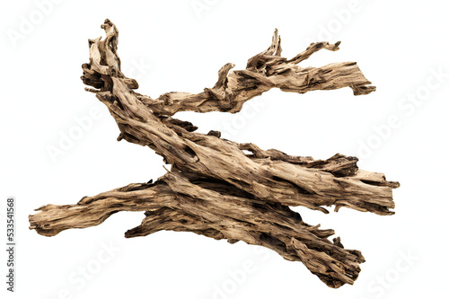 driftwood, dry and aged branch isolated on white background