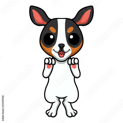 Cute rat terrier dog cartoon standing