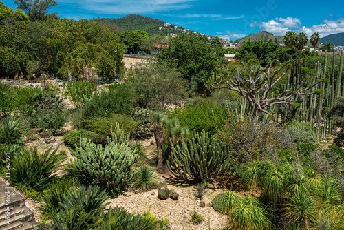 Ethnobotanical garden in Oaxaca, Mexico
