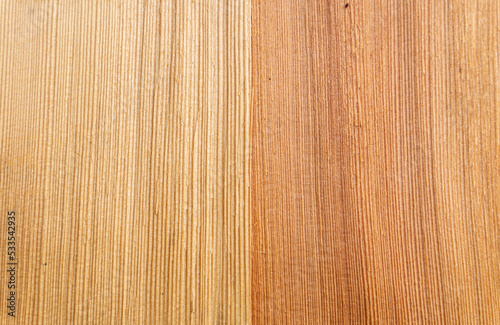 Brown wood texture. Abstract background  empty template