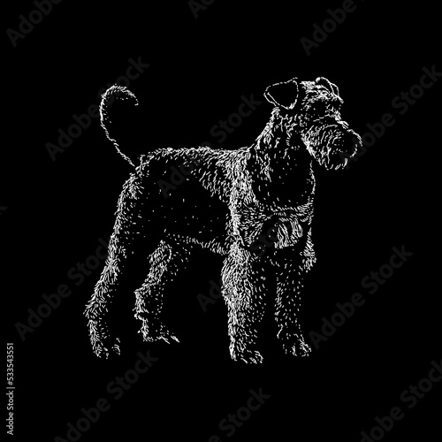 Airedoodle hand drawing vector illustration isolated on black background