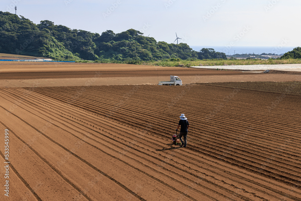 夏の終りに小さな耕運機で広い畑を耕す農夫 Stock Photo | Adobe Stock