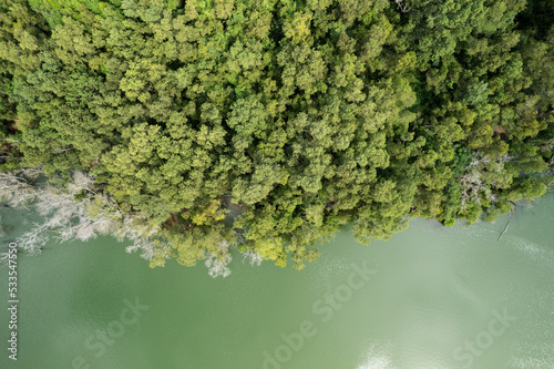 Amazing nature green background Top view of forest trees and river lake, Ecosystem and healthy environment concept and nature background