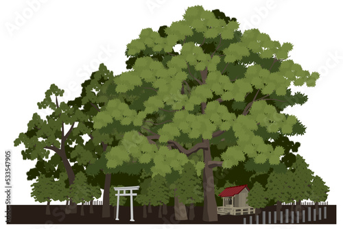 木に囲まれた村の小さな神社