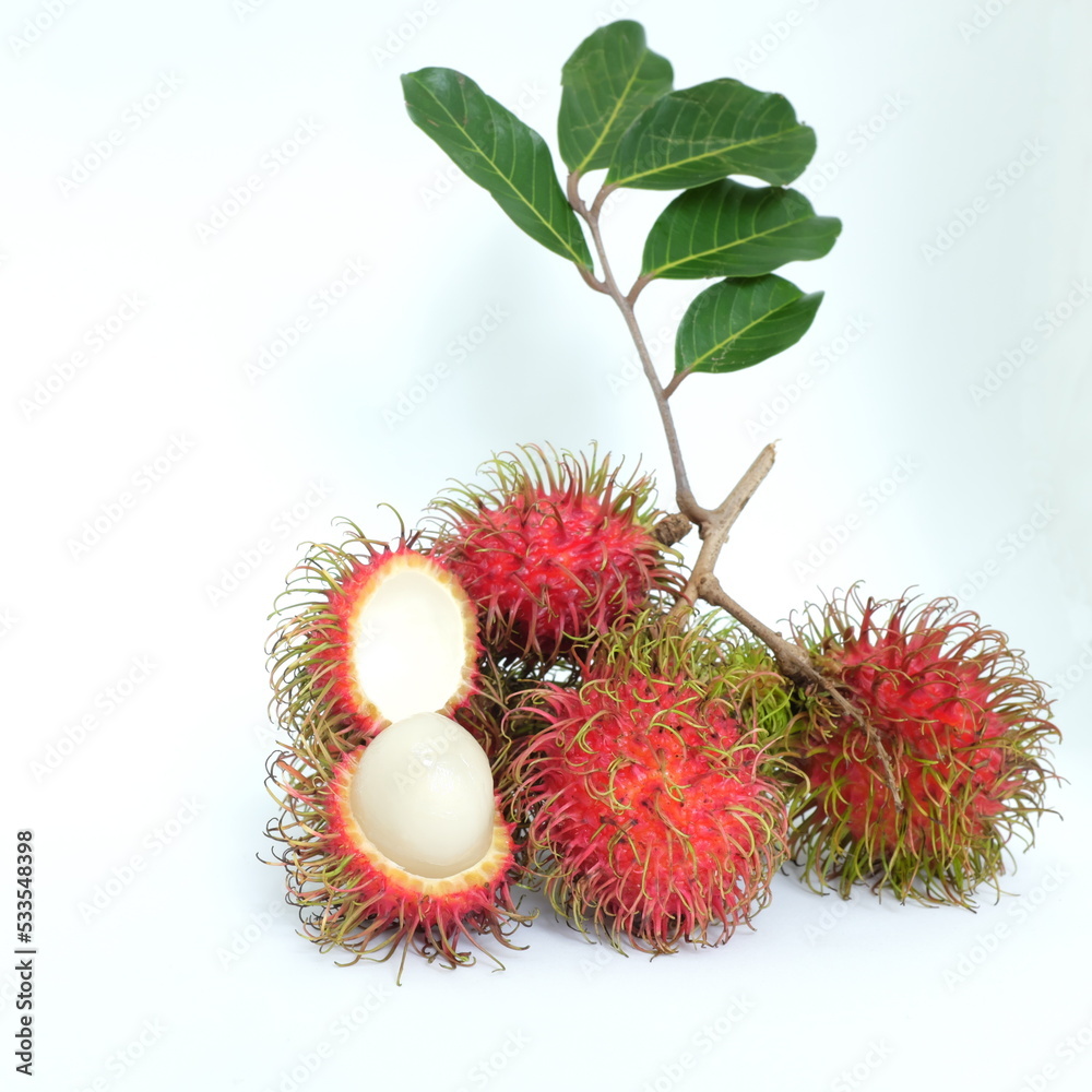 A bunch of ripe rambutan fruits with leaves isolated on white background.
A bunch of ripe rambutan fruits with leaves isolated on white background.