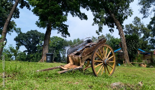 an old and broken horse carriage that was abandoned in a garden