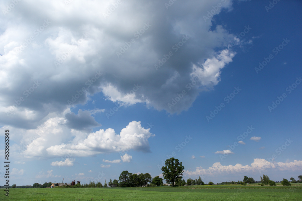 A warm day in the countryside, small clouds in the lower sky and on the horizon. Everything palm and green. A warm day in the countryside, small clouds in the lower sky and on the horizon. Everything palm and green.
