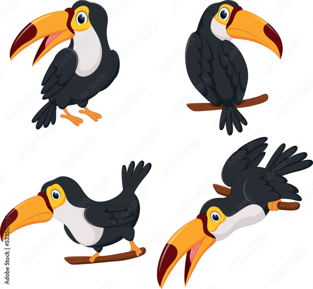 Naklejka premium Set of lovely toucans from different angles on white background. 
