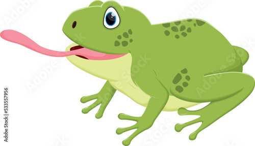 Cartoon cute frog, isolated on white background