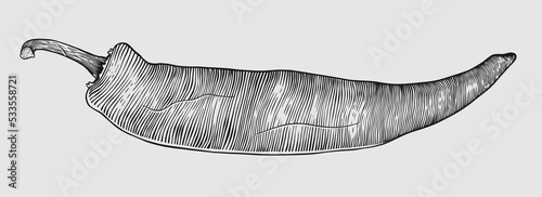 chili vegetable sketch engraving illustration