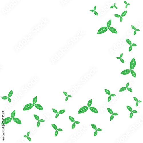 Green tea leaf icon vector